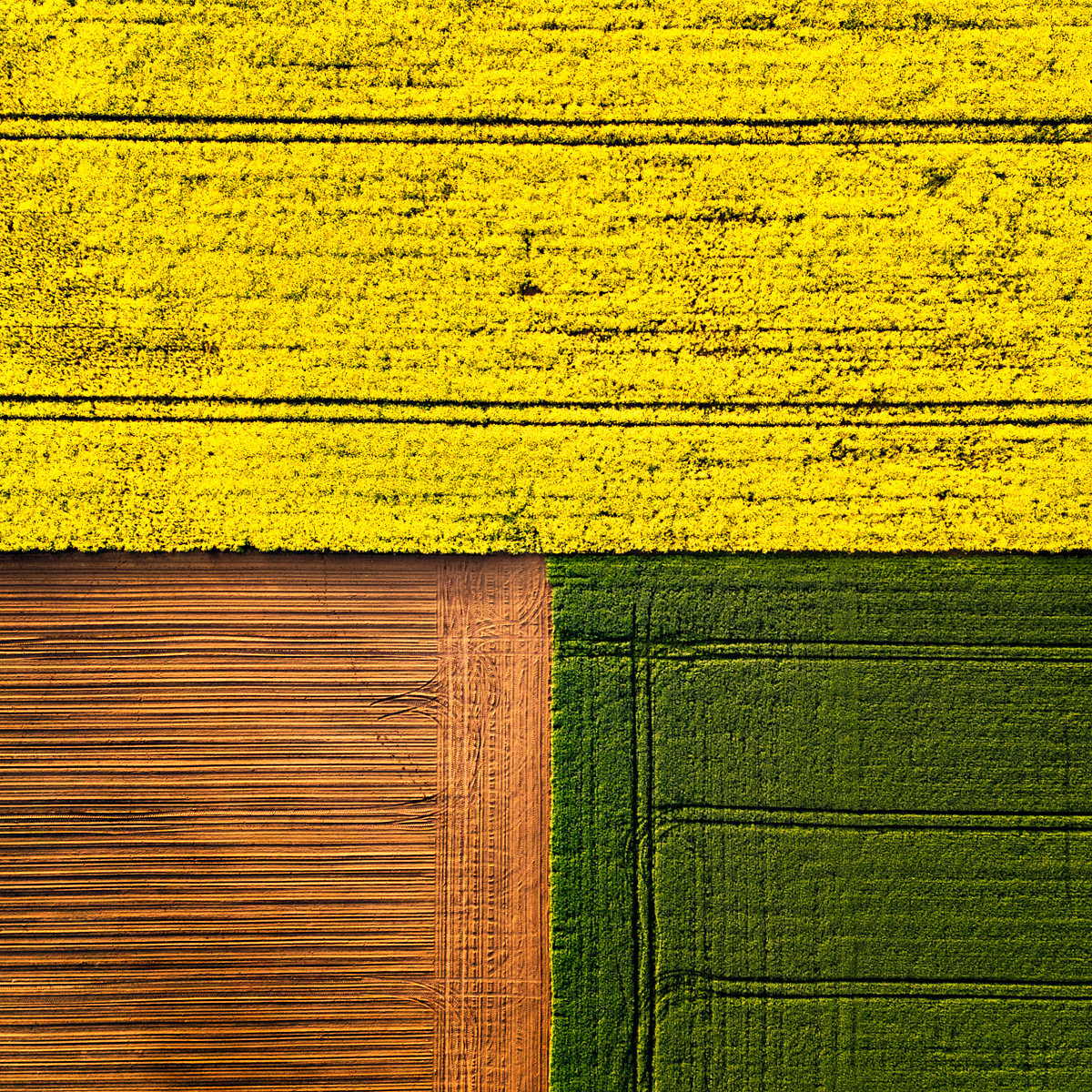 Three colors
