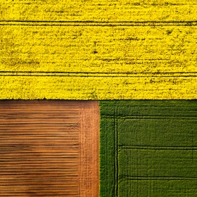Three colors
